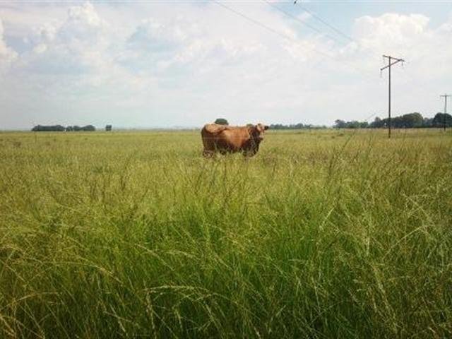 Commercial Property for Sale in Bloemdal Free State